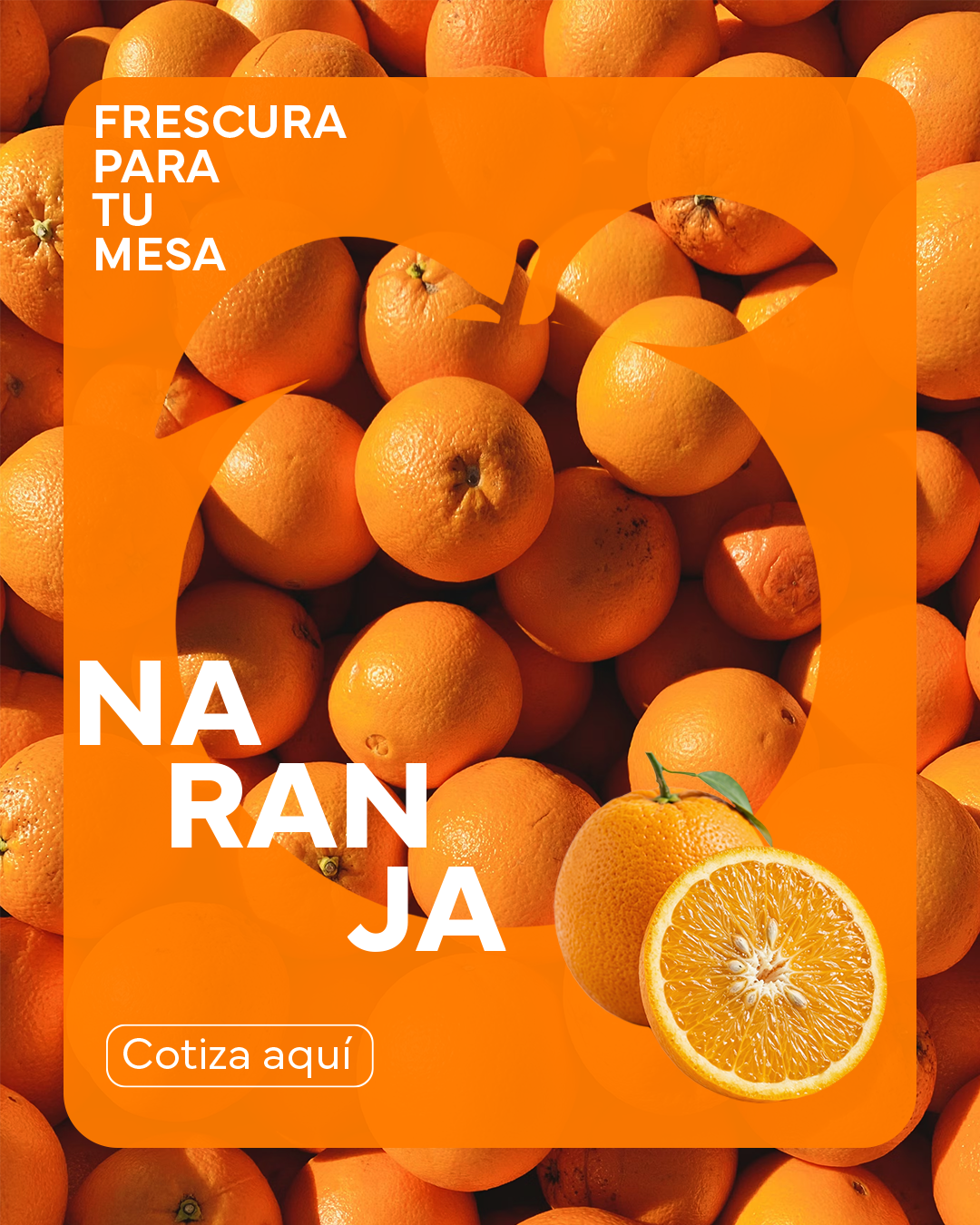 Frescura para tu mesa — Cítricos El Chino
